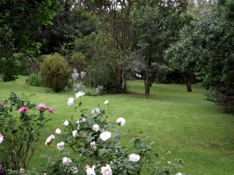 Fern Glen Guest Cottages | Johannesburg Specials