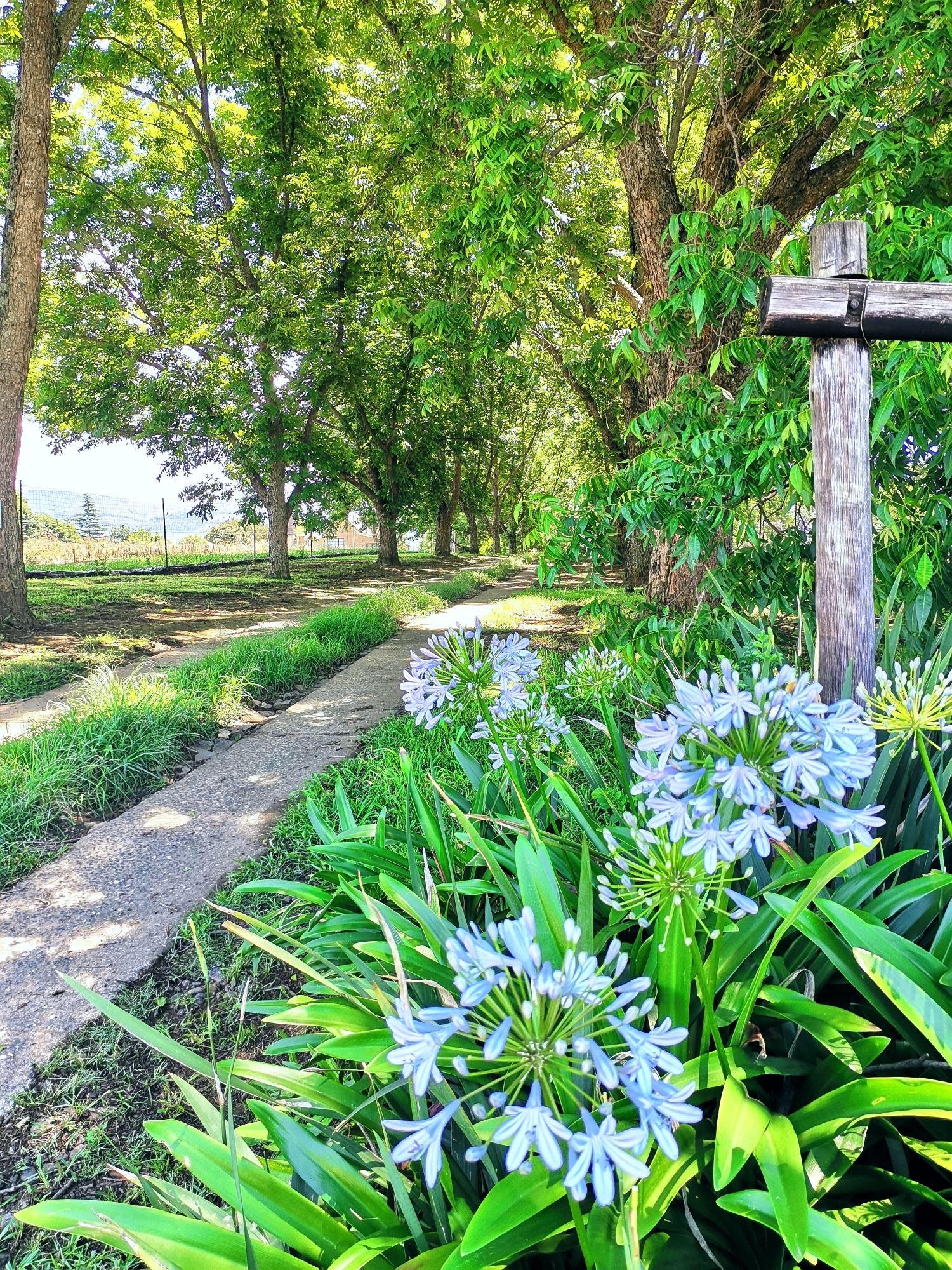 Hillbilly's Cottages | Central Drakensberg Resorts