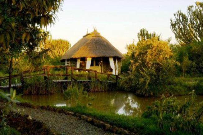Mbweha Safari Camp | Lake Nakuru National Park Lodges