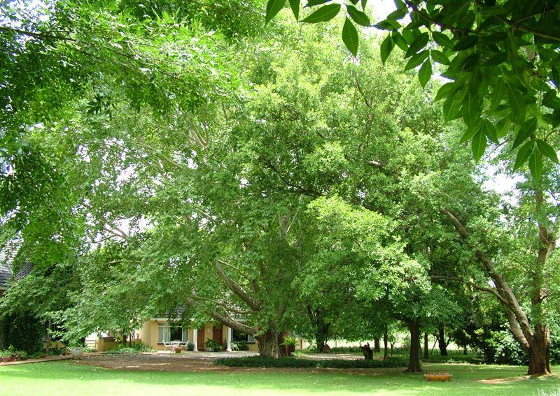 Mooivallei Park Accommodation