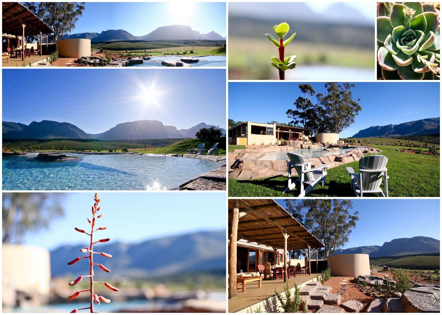 Oudebosch Guest Farm Riversdal | Accommodation Riversdale