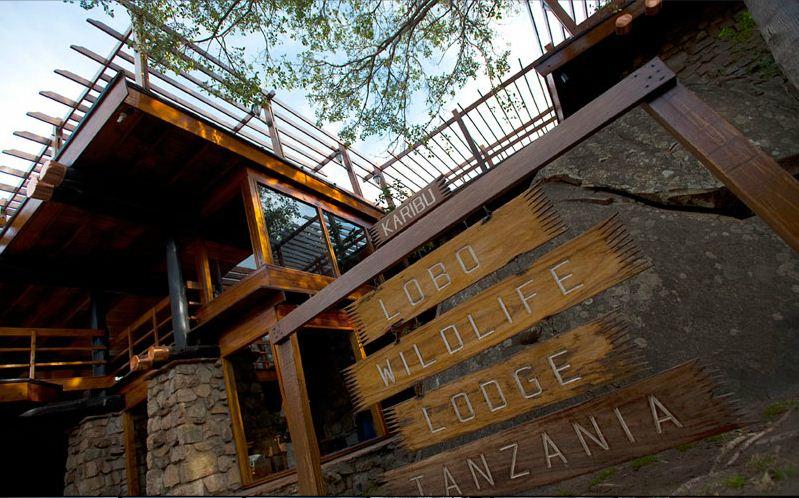 Lobo Wildlife Lodge | Serengeti National Park Accommodation