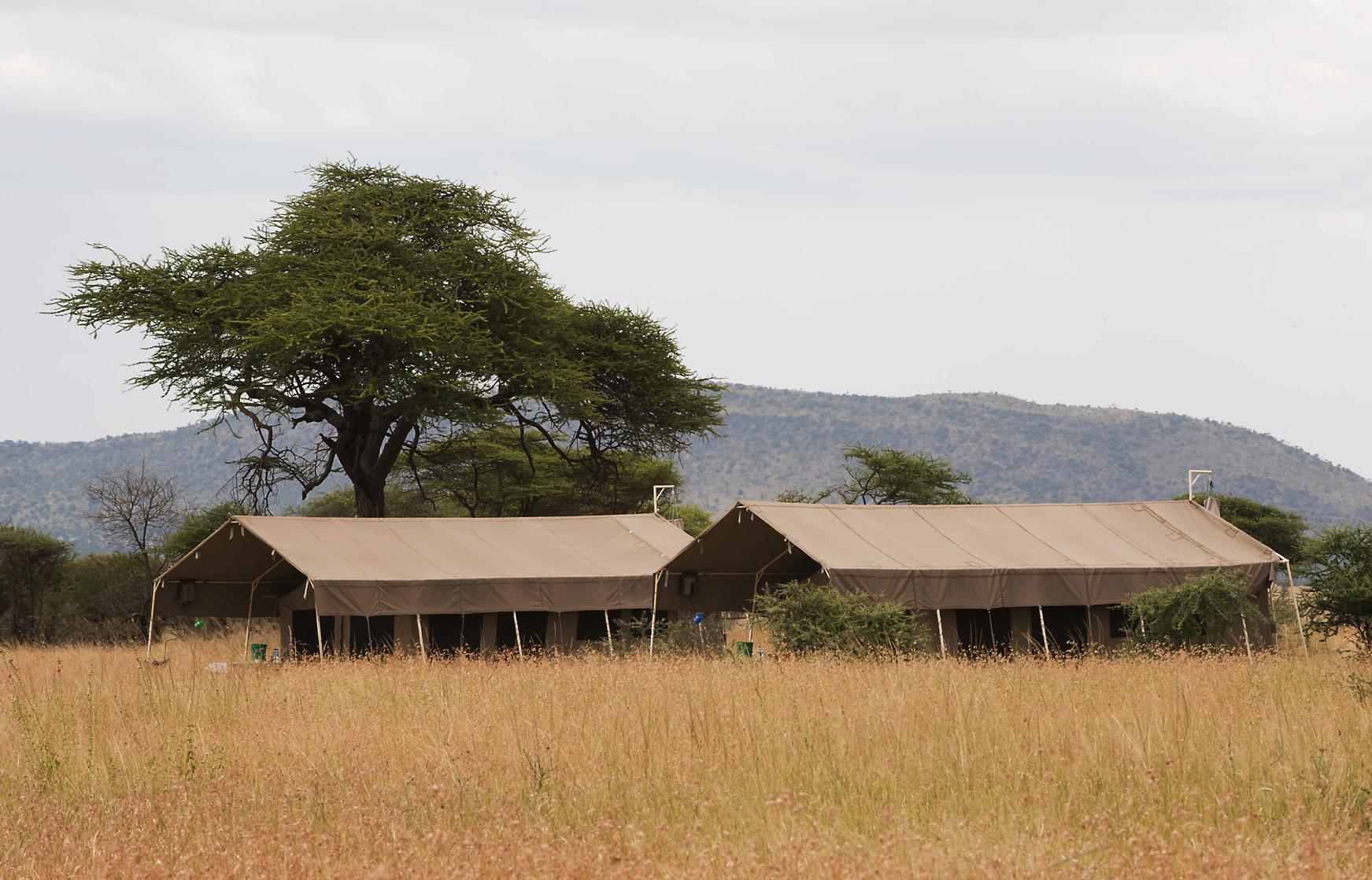 Serengeti Kati Kati Tented Camp | Accommodation Serengeti National Park