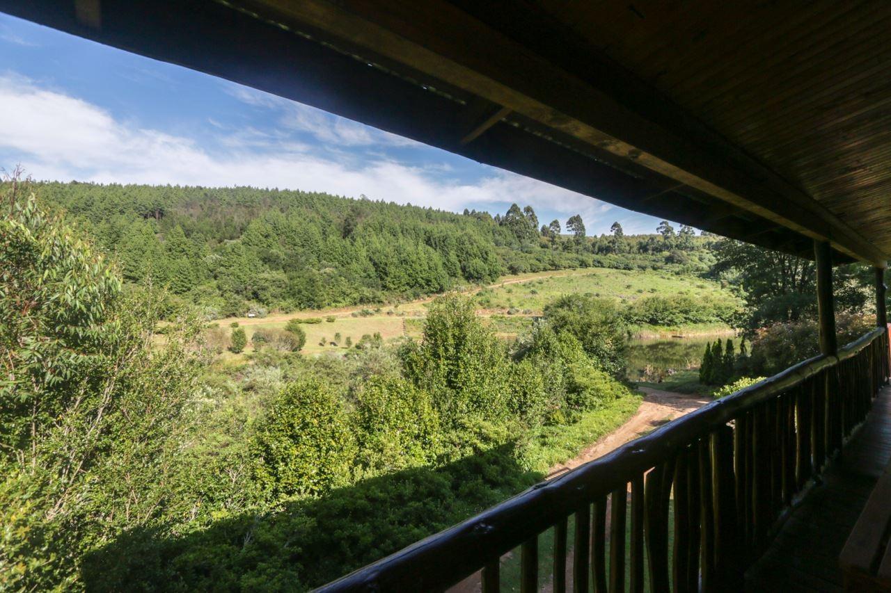 Mountain Fly Fishing | Accommodation Haenertsburg