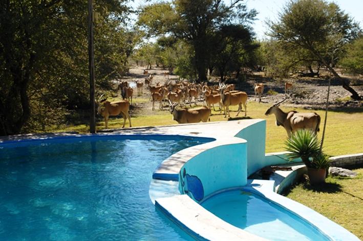 Thakadu Bush Camp | Accommodation Ghanzi