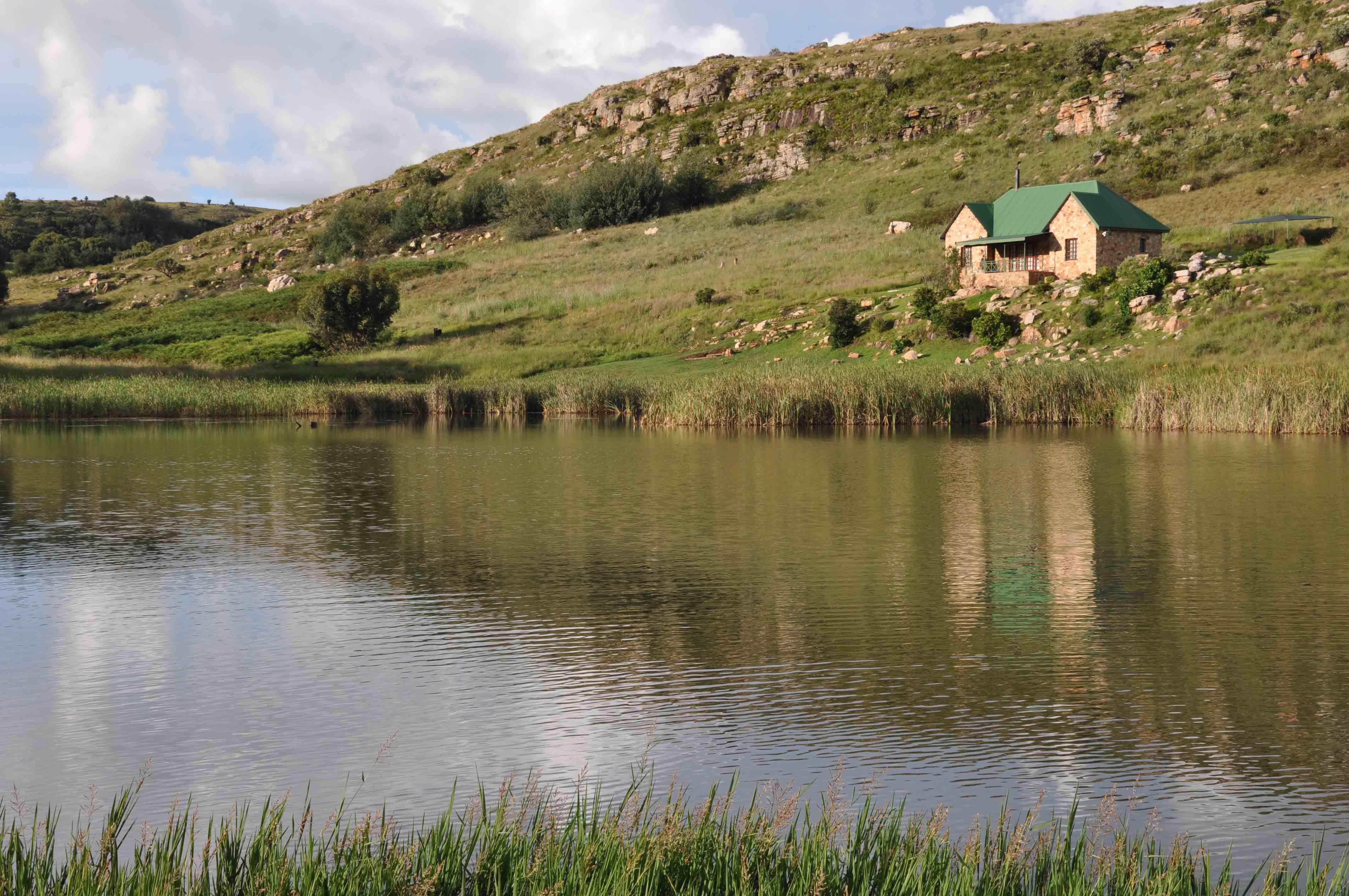Field and Stream | Mpumalanga Specials