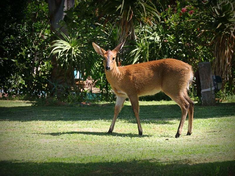 Noorsekloof Accommodation