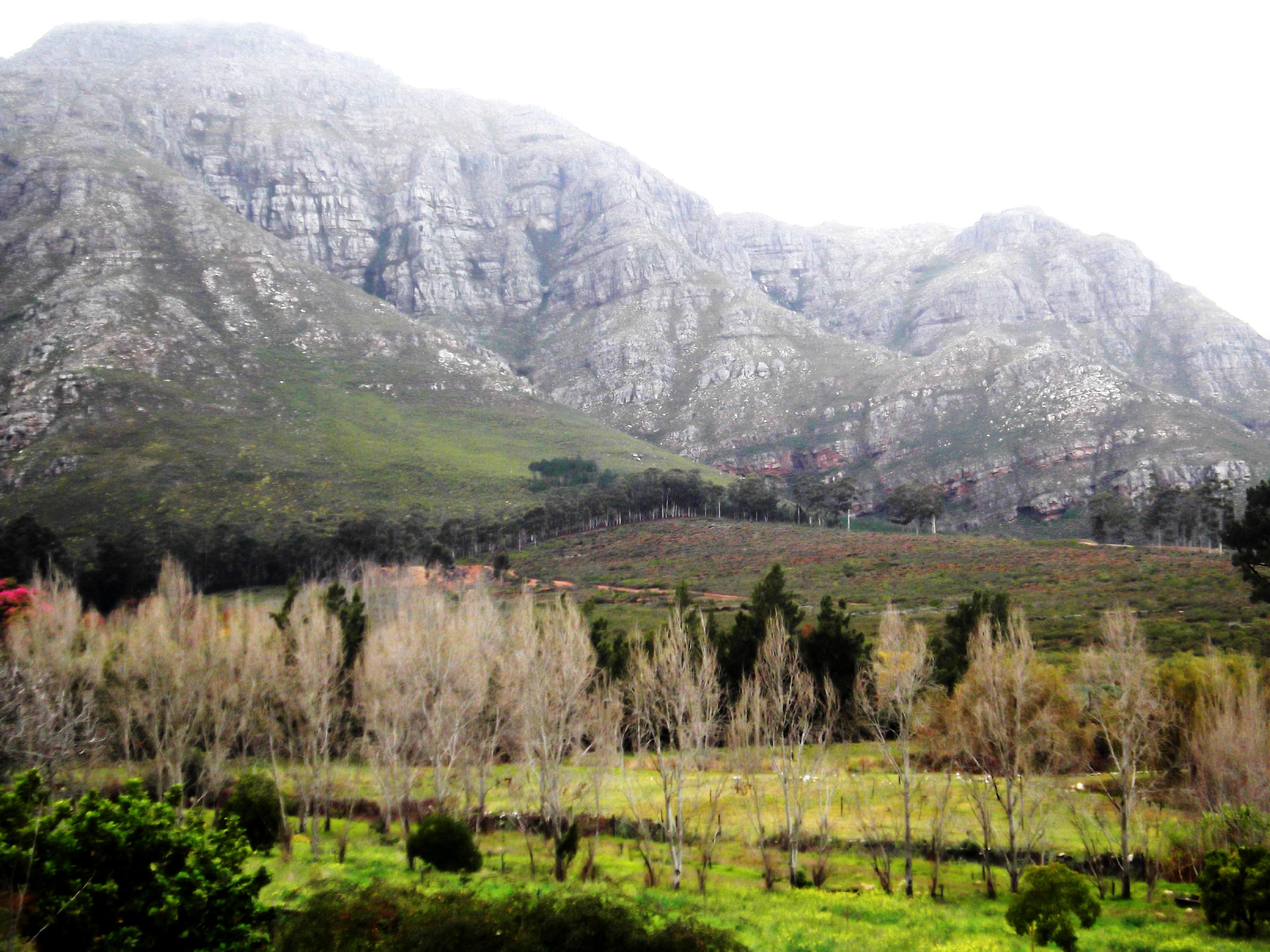 Paradyskloof Guest House | Accommodation Stellenbosch