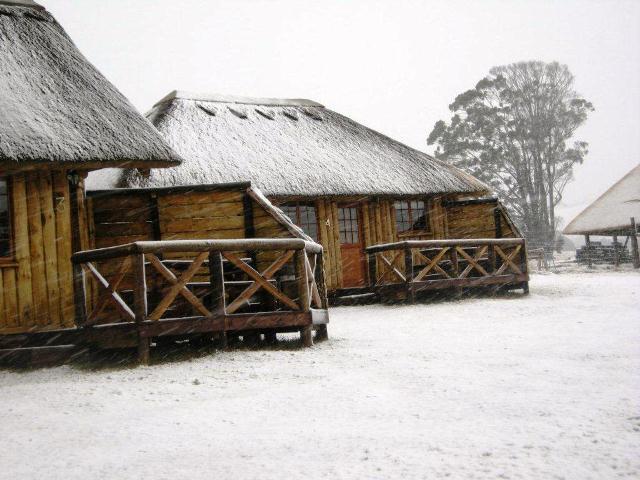 Glenrock Game & Trout | Accommodation Mooi River