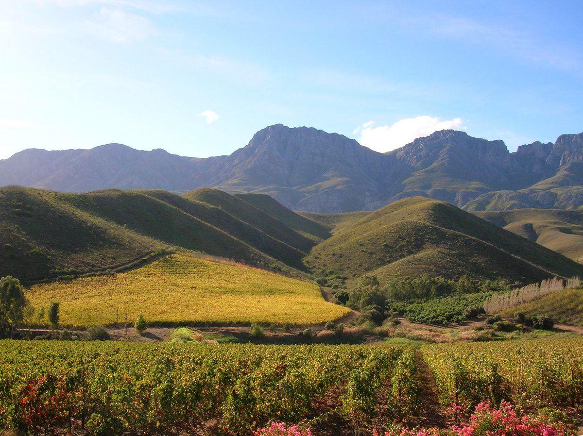 Olyfenbosch Cottages | Cape Winelands Specials