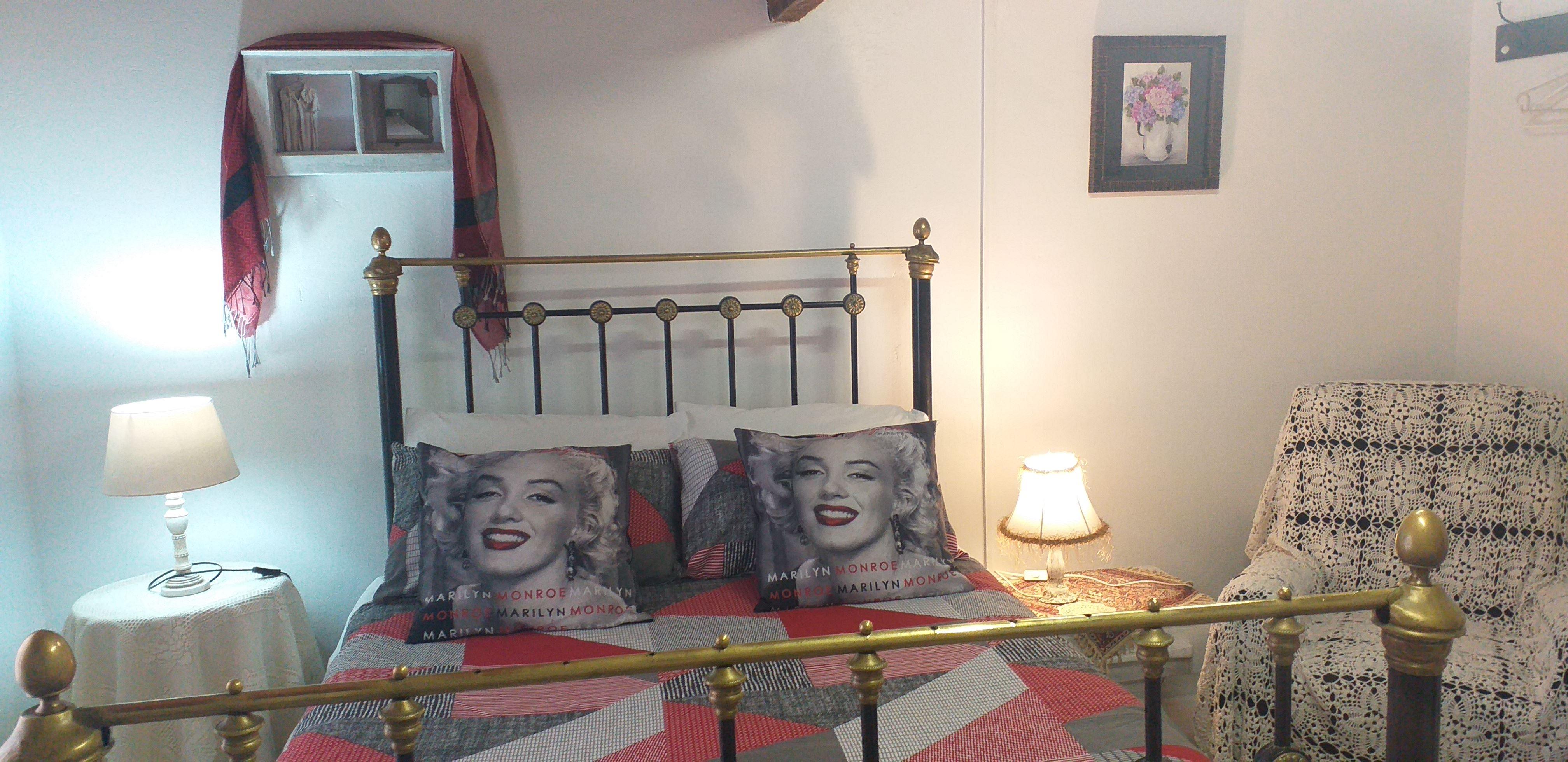 Napier All Sorts | Napier Accommodation