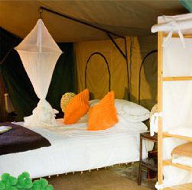 Elgin Hills Luxury Tented Camp | Elgin Accommodation