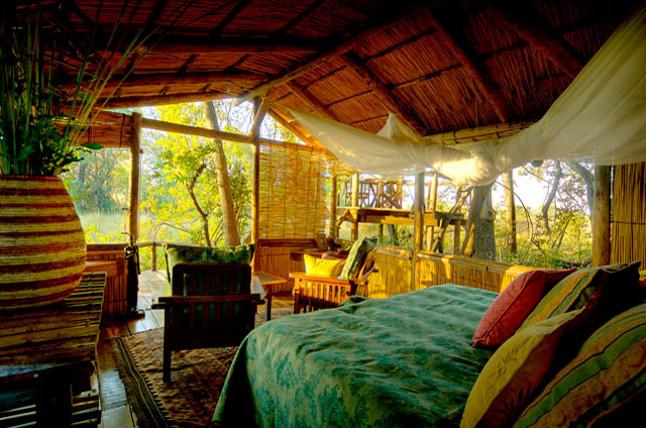 Delta Camp | Accommodation Okavango Delta