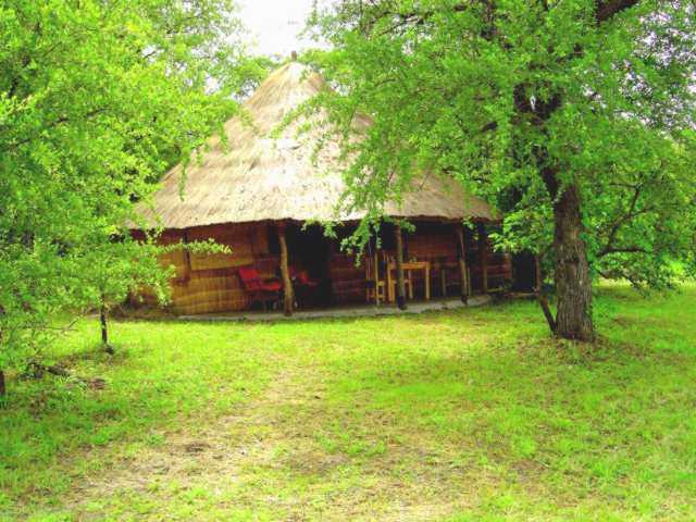 McBride's Camp | Accommodation Kafue National Park