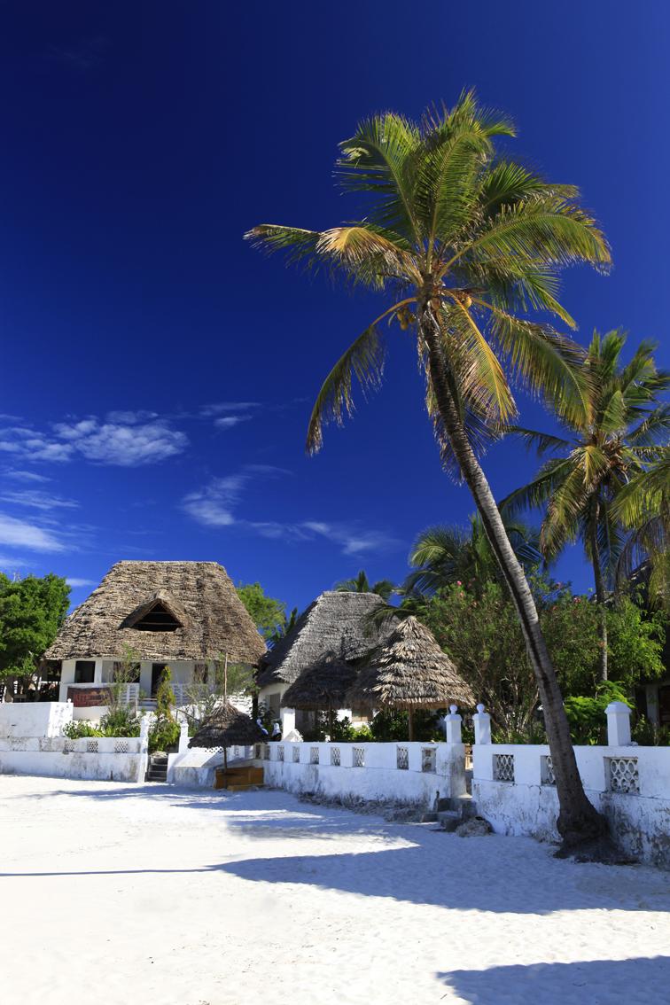 Red Monkey Lodge | Jambiani Lodges