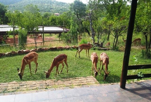 Kranspoort Guest House