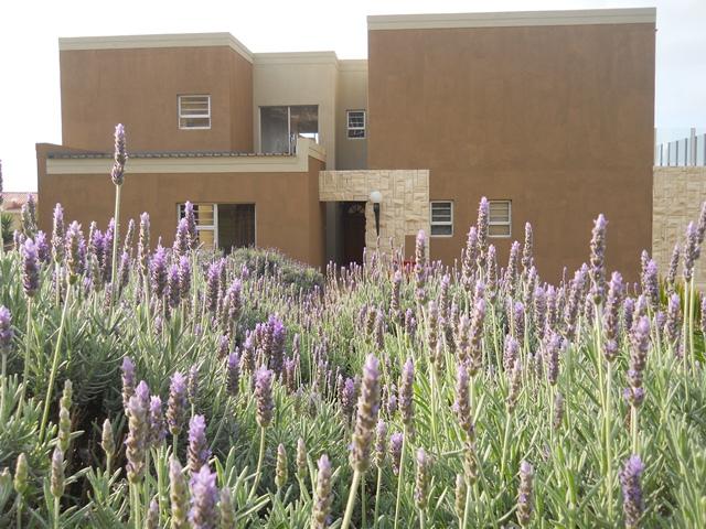 Wildpebbles | Accommodation Jeffreys Bay