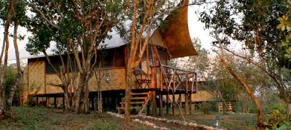 Elizabeth Bush Lodge | Accommodation Queen Elizabeth National Park