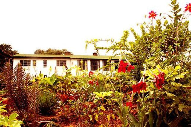 Ntchisi Forest Lodge | Accommodation Lilongwe