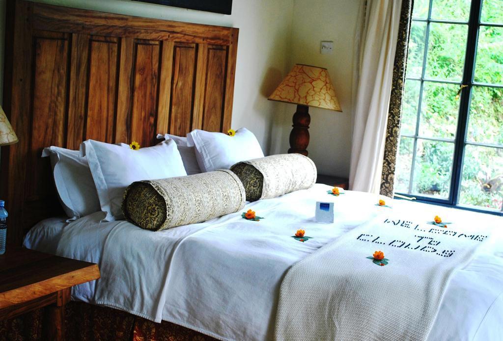 Clouds Mountain Gorilla Lodge | Accommodation Bwindi Impenetrable National Park