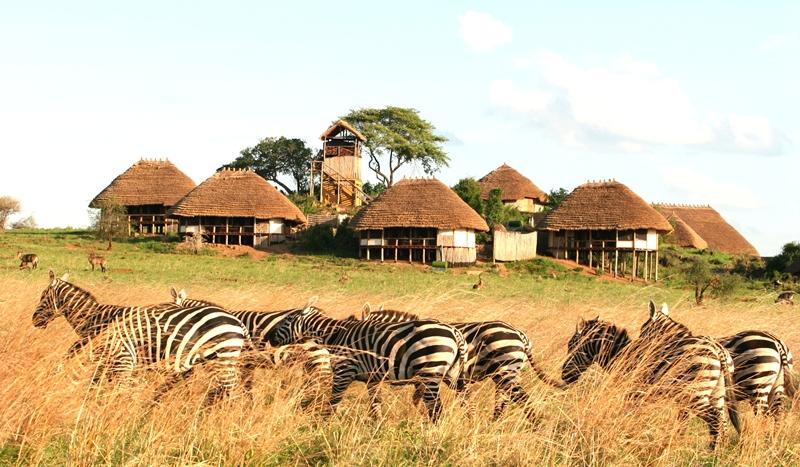 Apoka Safari Lodge | Kidepo Valley National Park Accommodation