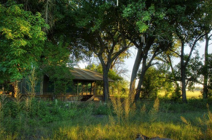 Shinde Camp | Okavango Delta Accommodation