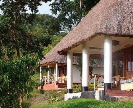 Chimpanzee Forest Guest House