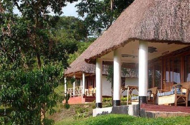 Chimpanzee Forest Guest House | Kibale National Park Accommodation