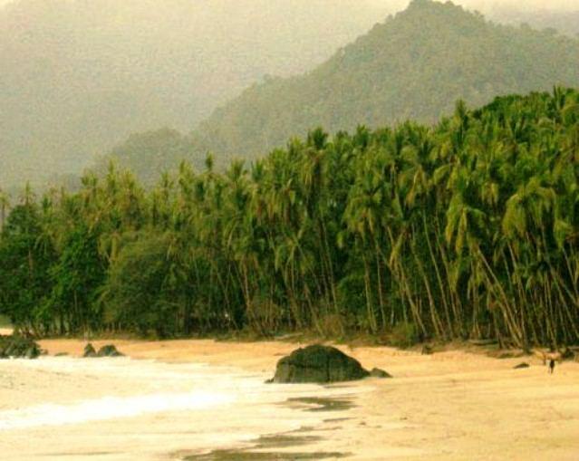 How Much Does Land Cost In Banana Island at Lisa Lopez blog