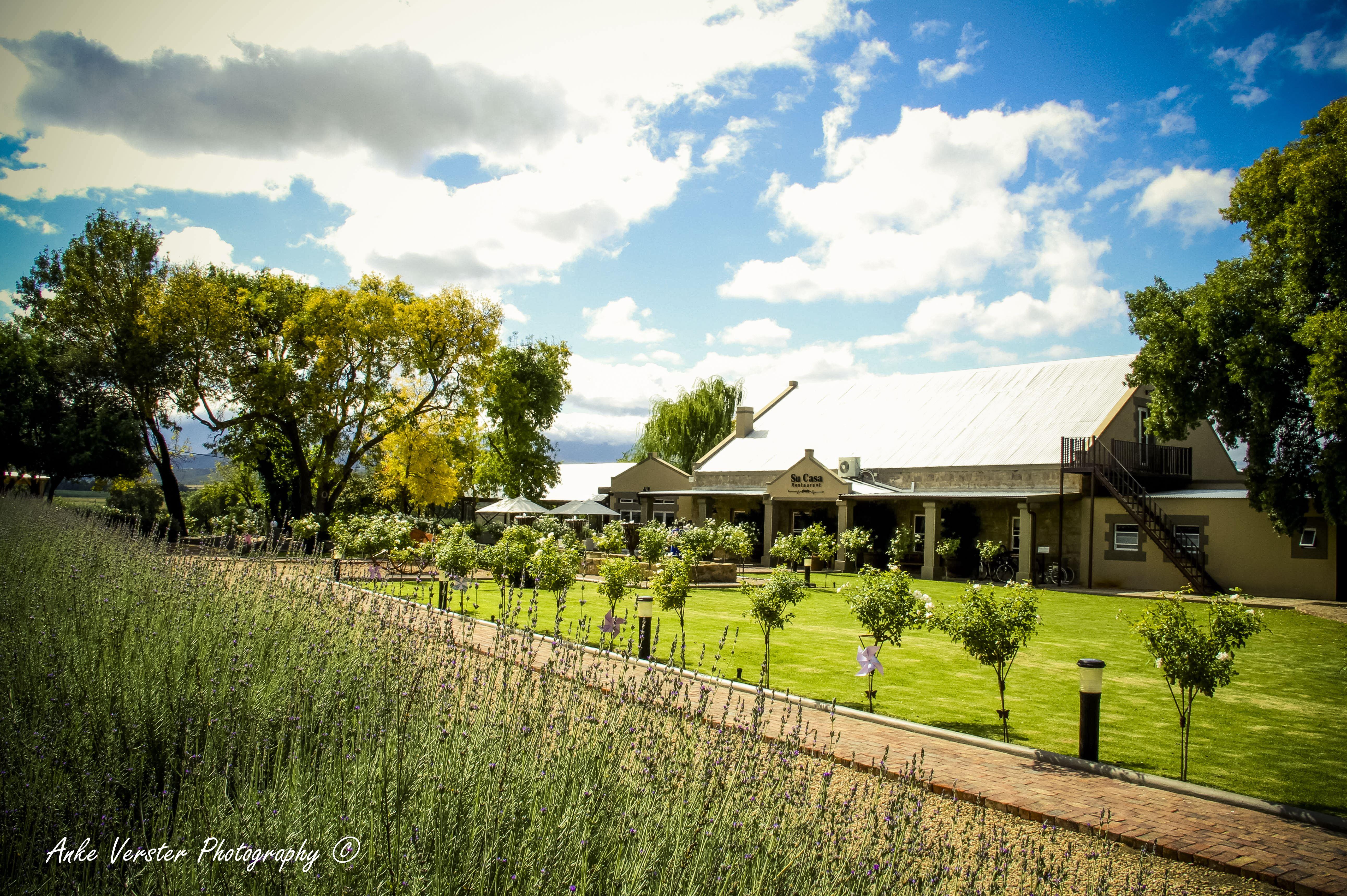 Surval Boutique Olive Estate