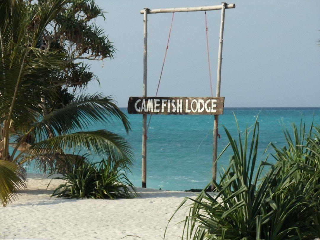 Game Fish Lodge | Resorts Nungwi
