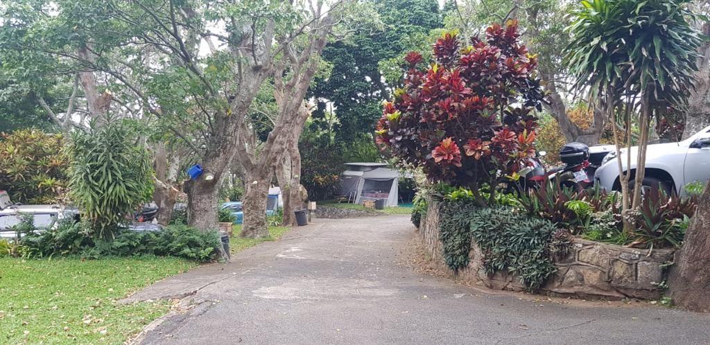 Oasis Caravan Park, Camping and Chalets