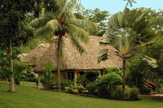 Borana Lodge | Laikipia Accommodation
