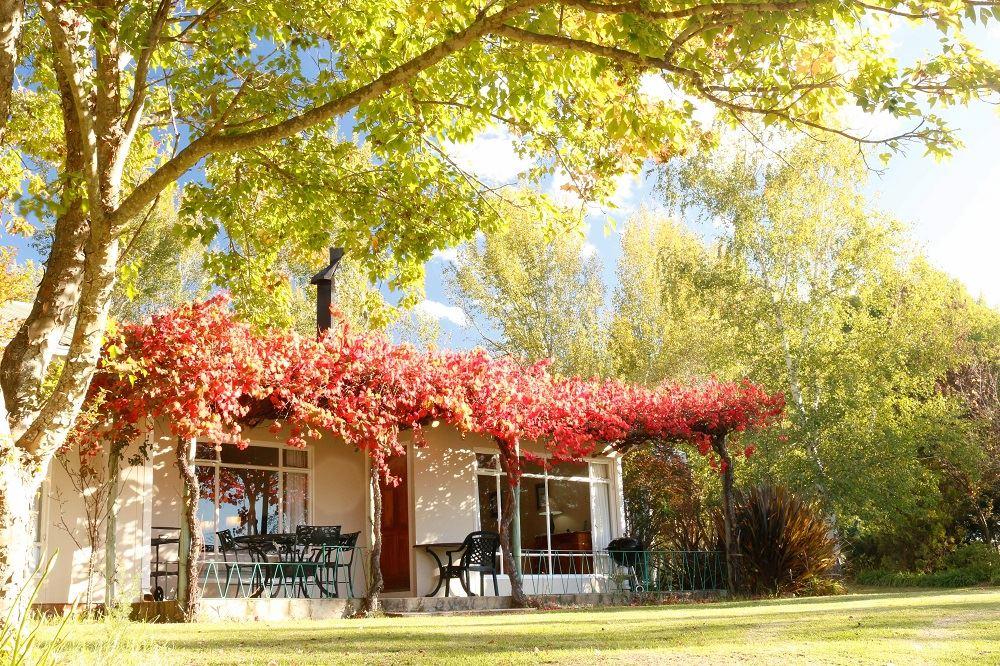 Lowestoffe Country Lodge - Trout Lodge | Hogsback Accommodation