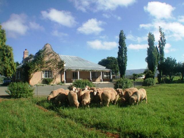 Wellwood Farm - Trymore Cottage | Graaff-Reinet Accommodation