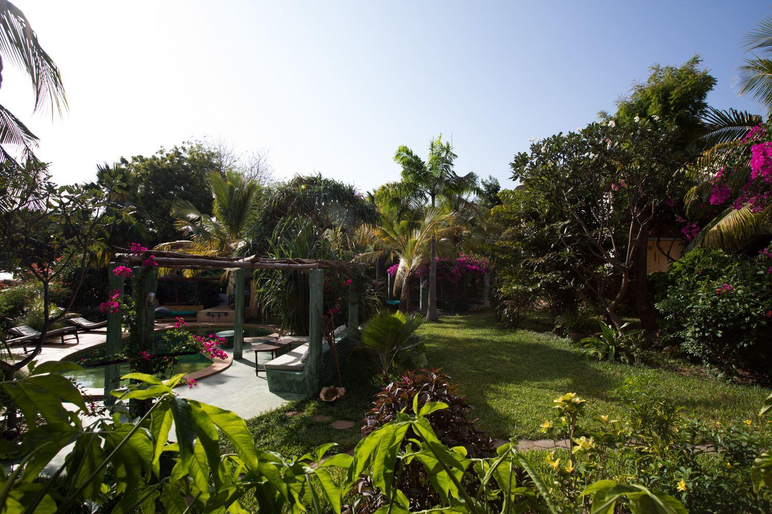 Banana House and Wellness Centre Reserve Your Hotel, SelfCatering, or Bed and Breakfast Room