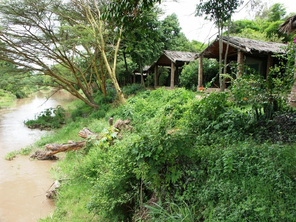 Fig Tree Camp | Maasai Mara National Reserve Accommodation