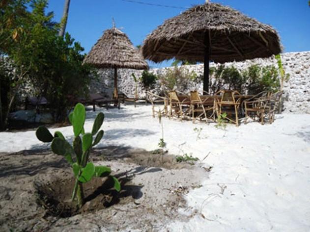 Paje Hotel-Villa