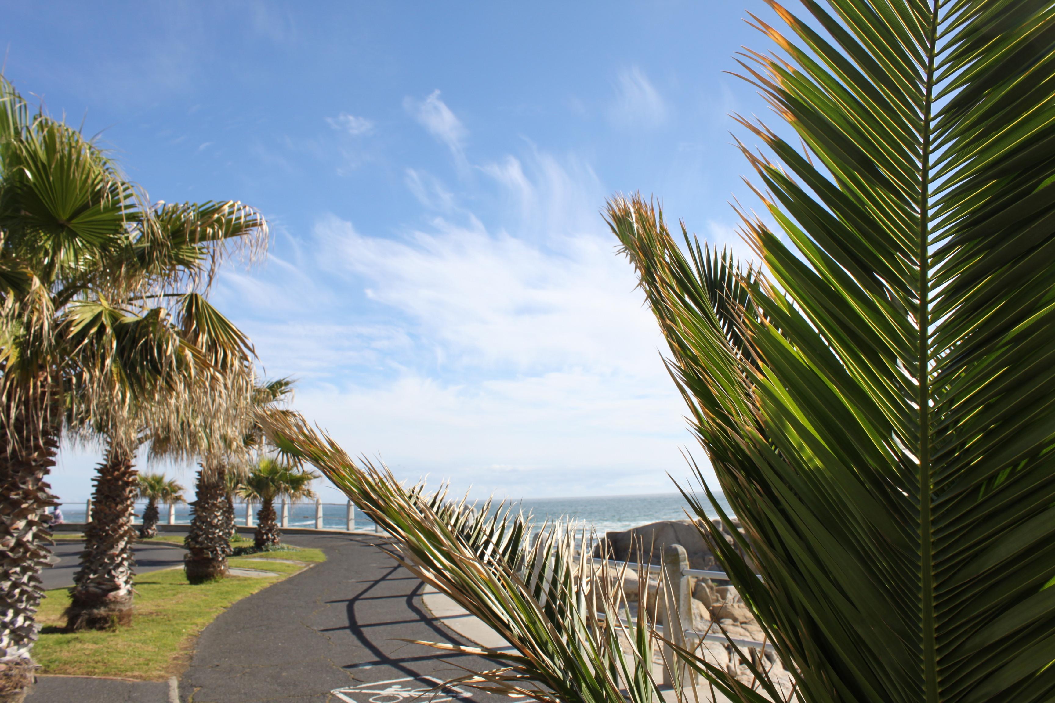 The Promenade