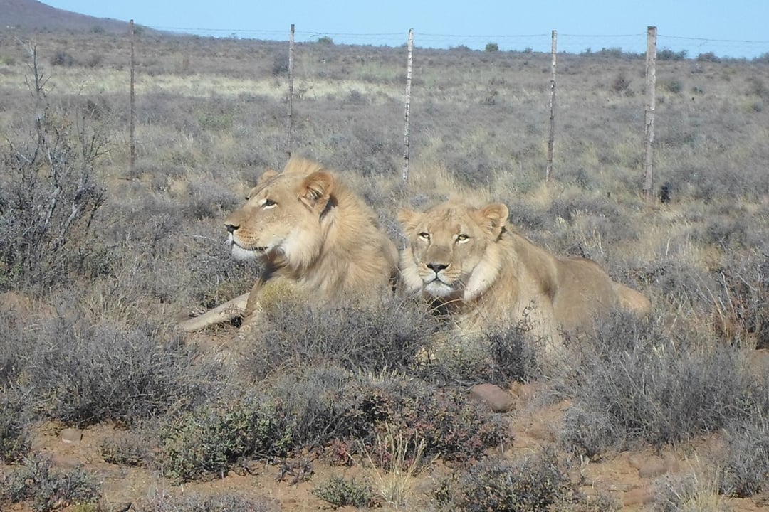 Karoo National Park