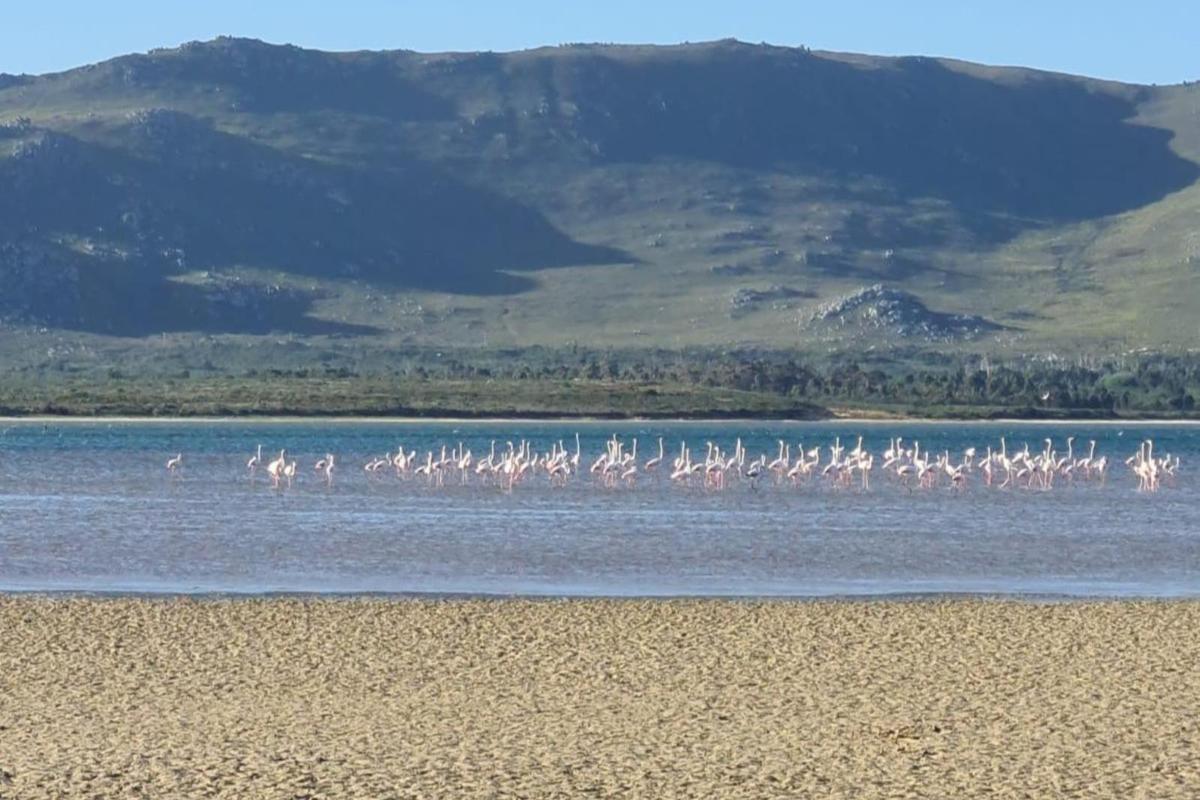 Little Haven 10 & 12