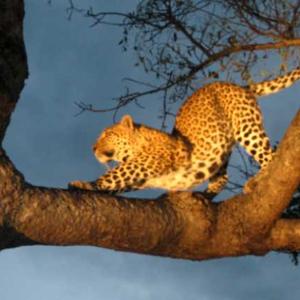 Kruger National Park