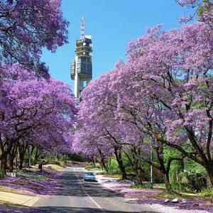 Pretoria (Tshwane)