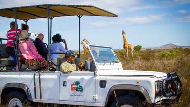 Western Cape Safari & Tours