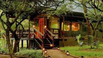 safari holidays kzn