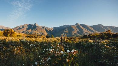 safari near swellendam