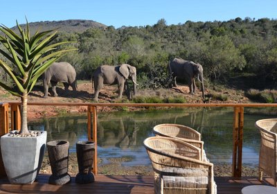 Barefoot Addo Elephant Lodge