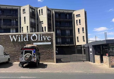 Wild Olive Collection