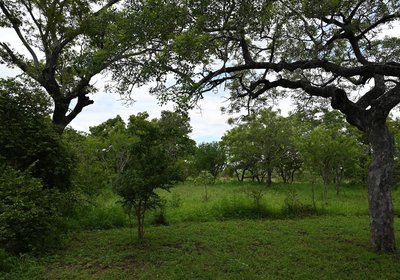 Memory Makers Bush Lodge