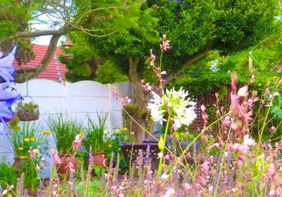 Whistlewood Guest House